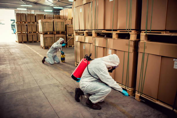 Best Ant Control Services  in Edgemoor, DE