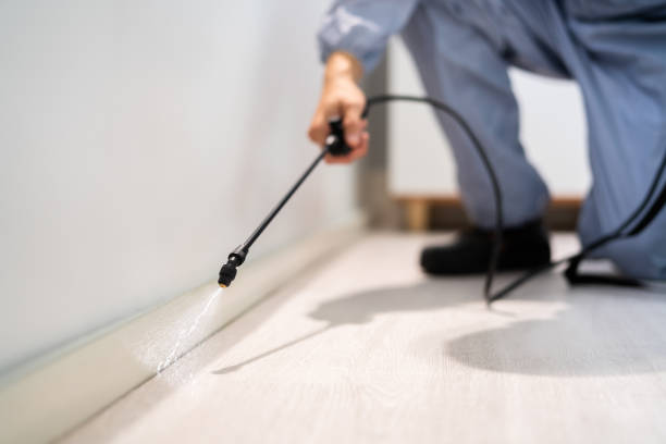 Professional Pest Control in Edgemoor, DE