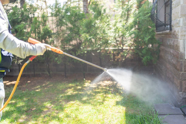 Best Exterminator Services  in Edgemoor, DE
